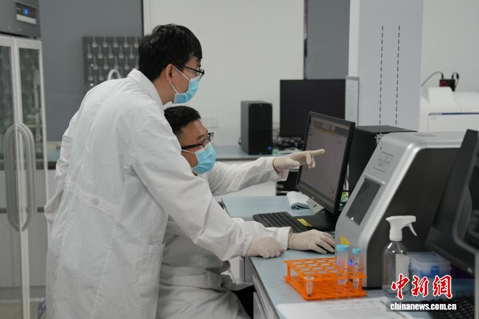 （活力中国调研行）湖北农业的智慧“链”条