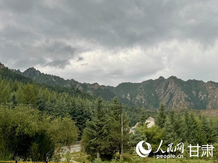 祁连山深处的“智慧眼”：一位保护站站长的“天地空”管护日志